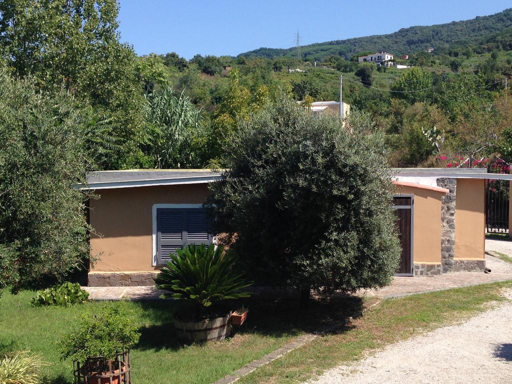 Domus Agricolae Corallina Torre del Greco Kamer foto