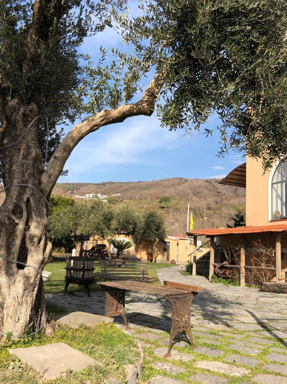 Domus Agricolae Corallina Torre del Greco Buitenkant foto