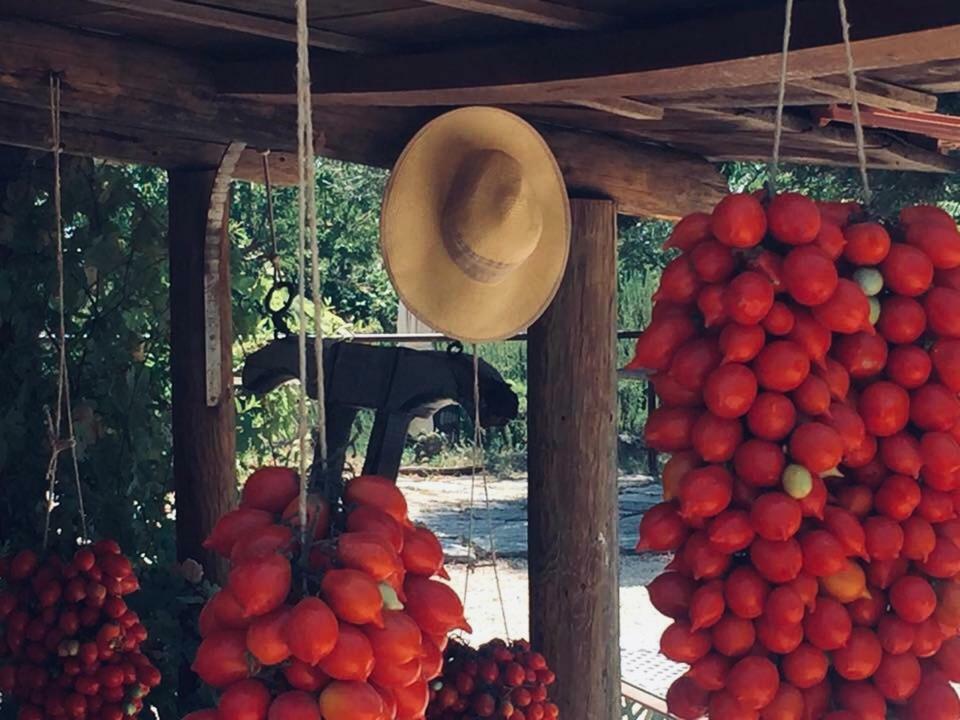 Domus Agricolae Corallina Torre del Greco Buitenkant foto